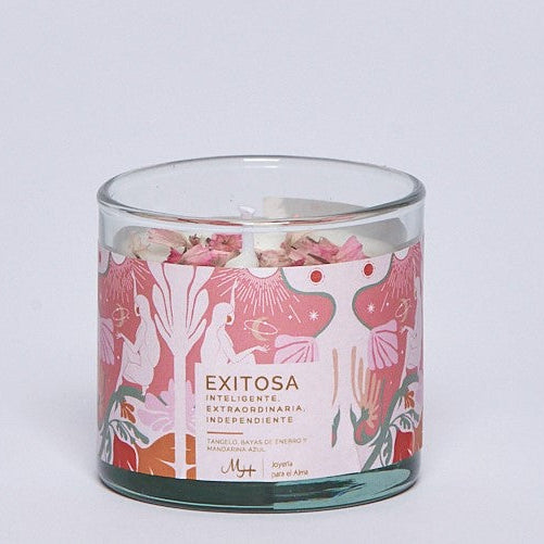 VELAS EXITOSA 60GR