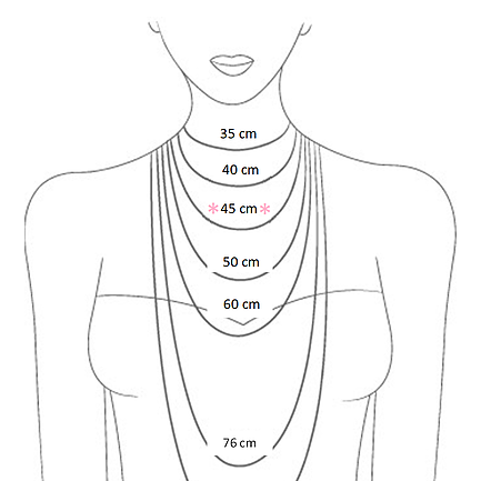 COLLAR EVOLUCIÓN Y CRECIMIENTO